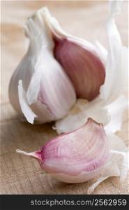 Clove and Bulb of Garlic