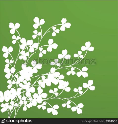 Clover foliage. Background for design