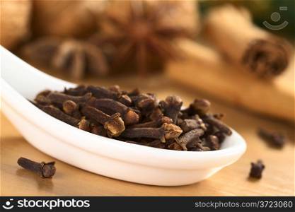 Cloves on ceramic spoon with anise, cinnamon and nuts in the back (Selective Focus, Focus on the cloves in the front)