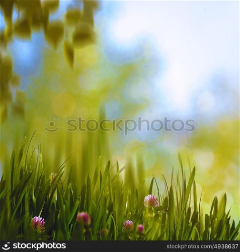 Clower and grass, abstract summer backgrounds with beauty natural bokeh