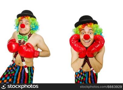 Clown with boxing gloves isolated on the white. The clown with boxing gloves isolated on the white