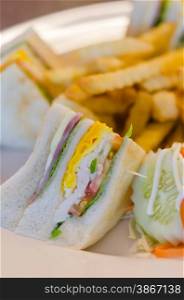 club sandwich. Delicious club sandwich with french fries at a dinner