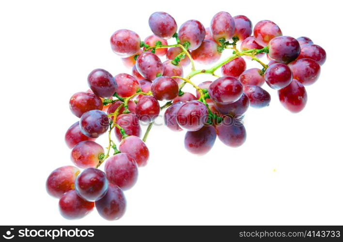 Cluster of grapes