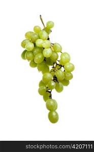 Cluster of grapes