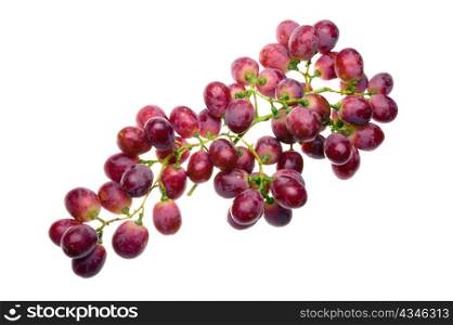 Cluster of grapes