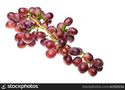 Cluster of grapes