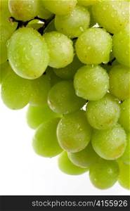 Cluster of grapes in water drops