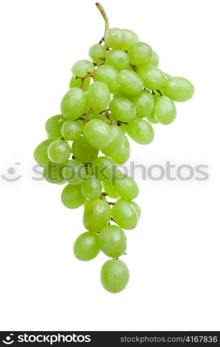 Cluster of grapes in water drops