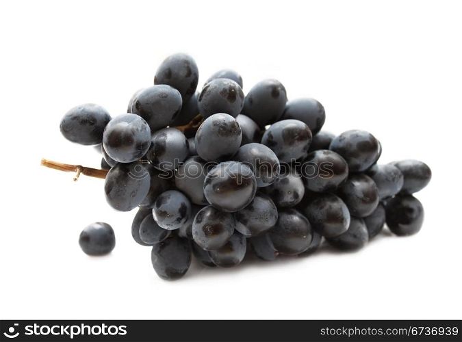 cluster of grapes isolated on white