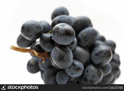 cluster of grapes isolated on white background