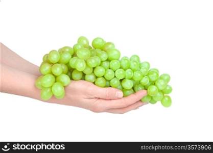 Cluster of grapes on hands