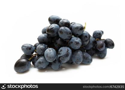 cluster of grapes with water drop isolated on white