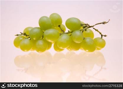 Cluster of green grapes