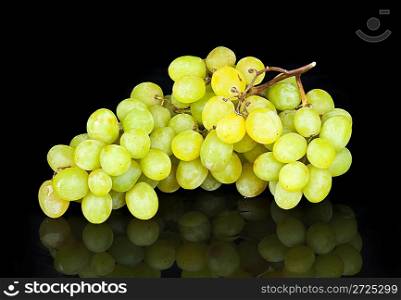Cluster of ripe grapes on a black background