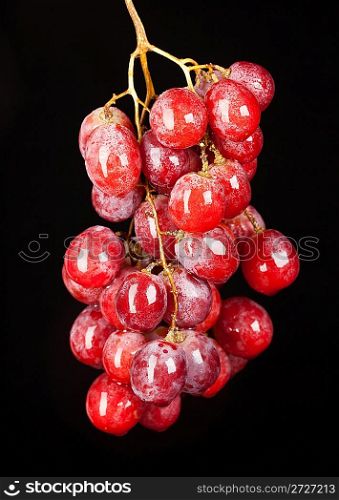 Cluster of ripe grapes on a black background