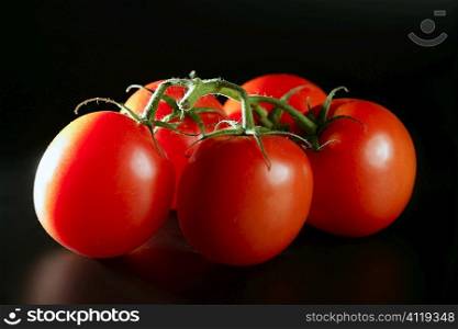 Cluster red tomato over black