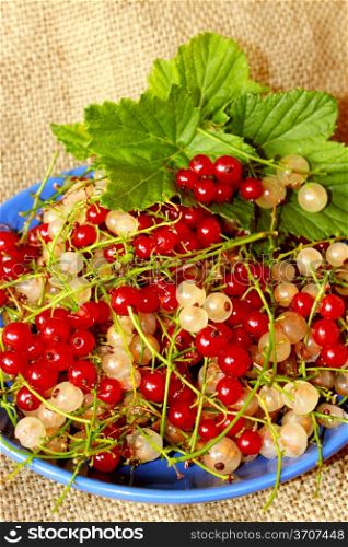 clusters of berries of red and white currant on the plate on brown background