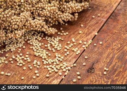 clusters of ripe white sorghum seeds on rustic red wood background
