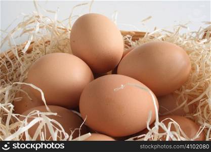 clutch of eggs in a basket filled with shavings