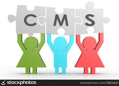 CMS - Content Management System puzzle in a line image with hi-res rendered artwork that could be used for any graphic design.