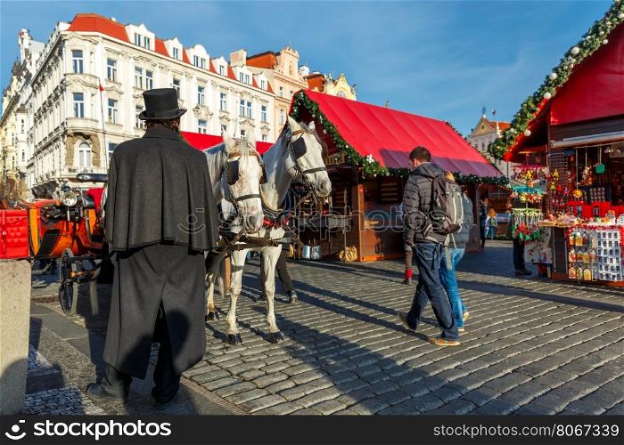 Coachman in a black hat and coat and white horses hitched to horse carriage waiting for tourists on Christmas Old Town Square of Prague, Czech Republic.