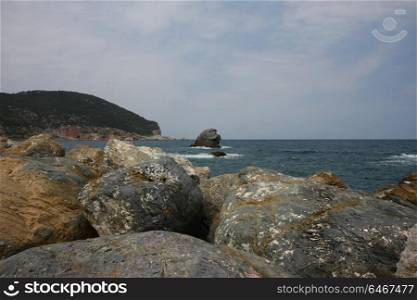 Coast and rock covered with birds near by Skopelos island,Greece