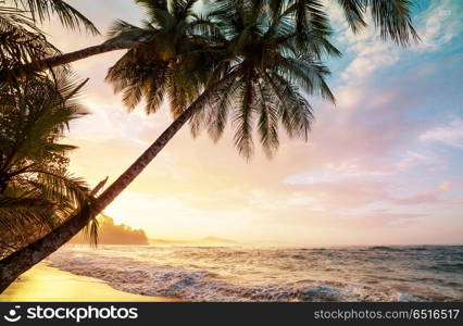 Coast in Costa Rica. Beautiful tropical Pacific Ocean coast in Costa Rica