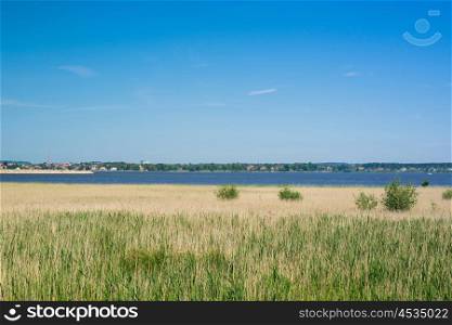 Coast landscape with grass by the water in the summer