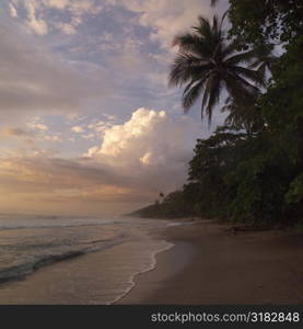 Coast of Costa Rica