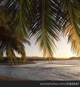 Coast of Costa Rica