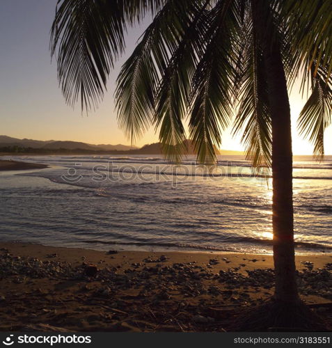 Coast of Costa Rica