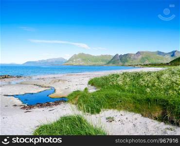Coast of Gimsoya island, Gimsoysand sandy beach in summer. Nordland county, Lofoten archipelago Norway. Tourist attraction.. Seascape in Gimsoysand, Lofoten islands, Norway
