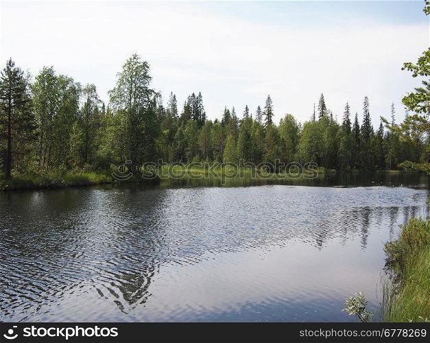 Coast of the river in the spring. Karelia, Russia