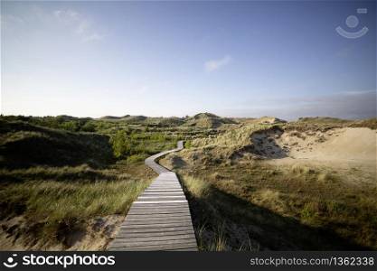 Coastal boardwalk meandering through vegetated sand dunes with wild grass and scrub in evening or early morning light with a glow on the horizon