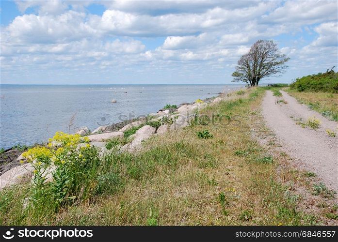 Coastal dirt road. Country road along the coastline at the swedish island Oland in the Baltic Sea