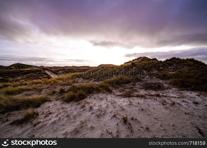 Coastal dunes with vegetation in an atmospheric moody sunset landscape under a purple sky on Amrum in the North Frisian Islands, Germany with the warm glow of the sun on the horizon