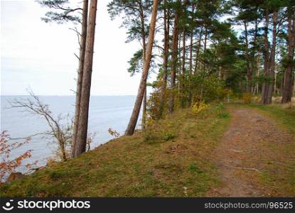 Coastal footpath by fall season at the swedish island Oland