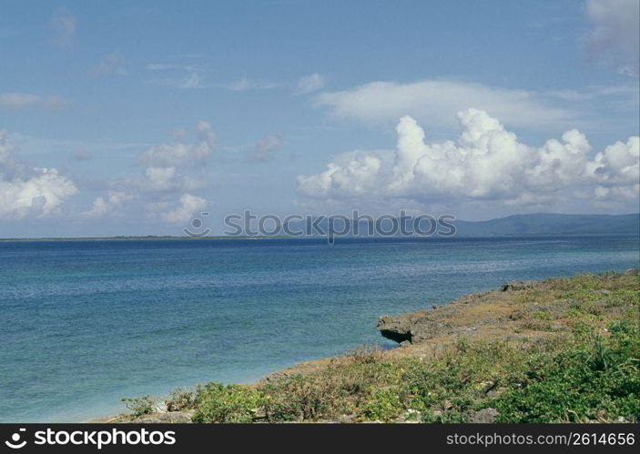 Coastal landscape