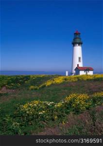 Coastal Lighthouse Surrounded By Yellow Flowers
