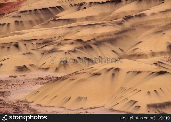 Coastal Sand Dunes With Black Streaks