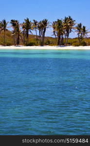 coastline and rock in the blue lagoon relax of isla contoy mexico