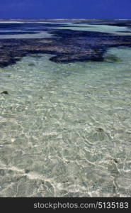 coastline froth foam in the blue lagoon relax of zanzibar africa