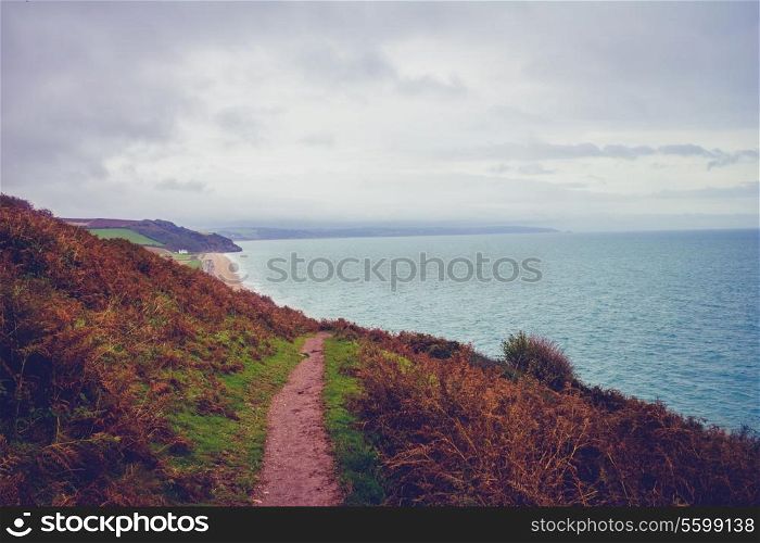 Coastline in Devon, England