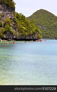 coastline of a green lagoon and tree south china sea thailand kho phangan bay