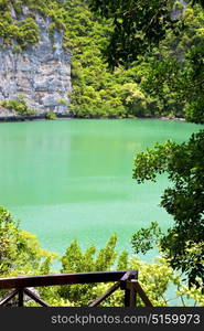 coastline of a green lagoon and tree south china sea thailand kho phangan bay