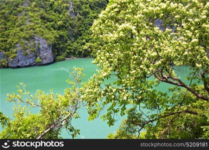 coastline of a green lagoon and tree south china sea thailand kho phangan bay