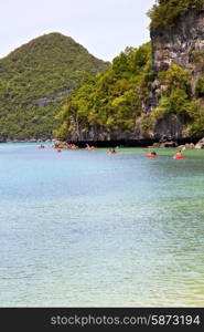 coastline of a green lagoon and tree south china sea thailand kho phangan bay