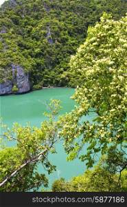 coastline of a green lagoon and tree south china sea thailand kho phangan bay