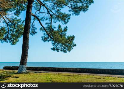 Coastline of Black Sea in Abkhazia