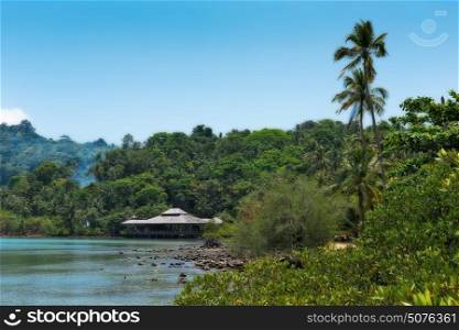 Coastline of the tropical with houses in the forest